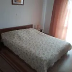 Makaus * Kampor