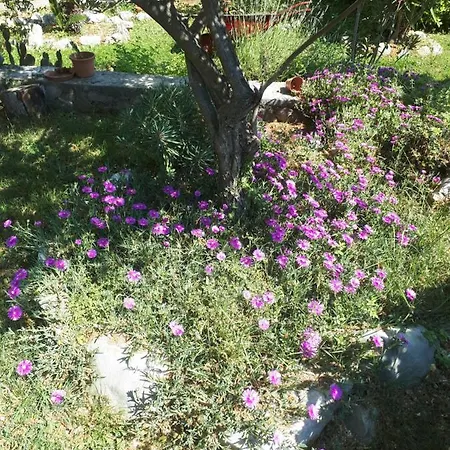 Makaus Apartamento *