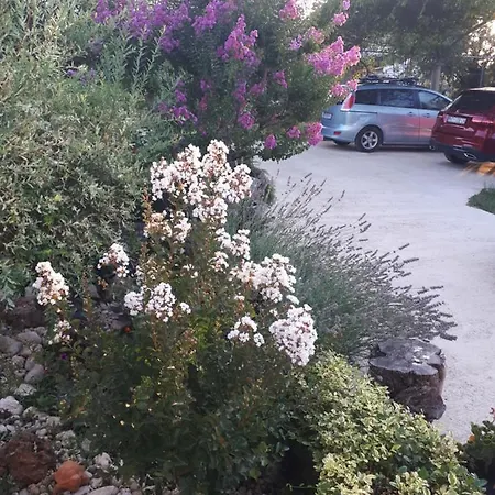 Makaus Διαμέρισμα *