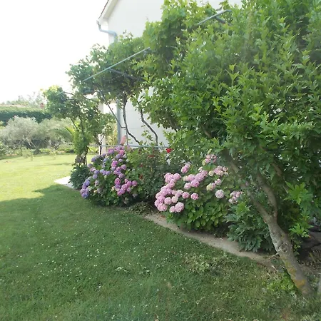 Makaus Appartement